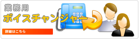 �Ɩ��p�{�C�X�`�F���W���[